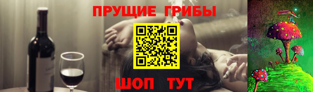 Видное  Галлюциногенные грибы Psilocybine cubensis  Псилоцибиновые грибы Psilocybe  Вход с VPN 
